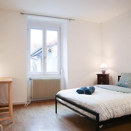 Appartement Entier, Proche Tram-Train Et Commodites, Parking Gratuit Mülhausen Exterior foto