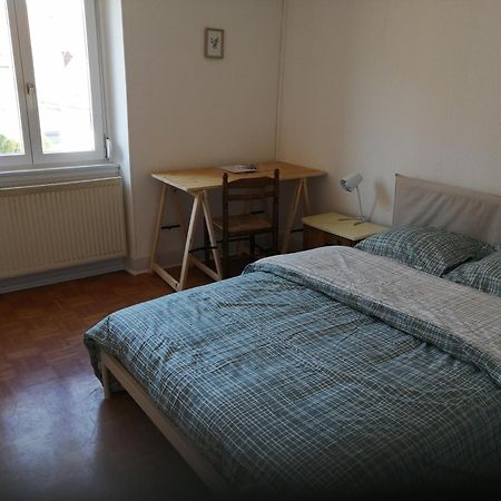 Appartement Entier, Proche Tram-Train Et Commodites, Parking Gratuit Mülhausen Exterior foto