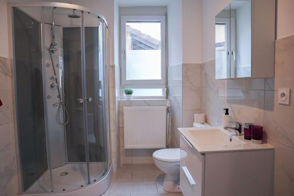 Appartement Entier, Proche Tram-Train Et Commodites, Parking Gratuit Mülhausen Exterior foto