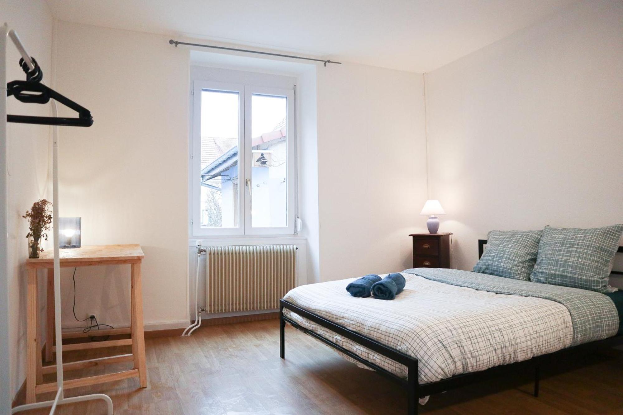 Appartement Entier, Proche Tram-Train Et Commodites, Parking Gratuit Mülhausen Exterior foto